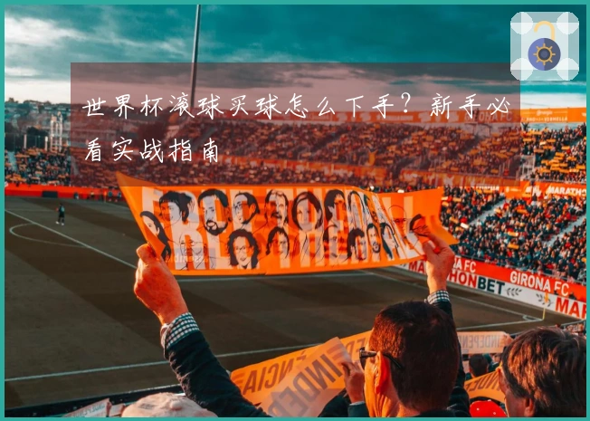 世界杯滚球买球怎么下手？新手必看实战指南