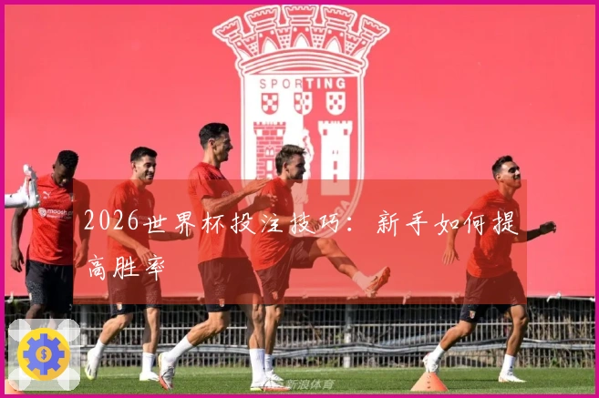 2026世界杯投注技巧：新手如何提高胜率