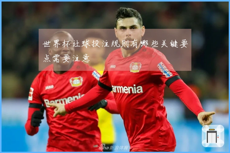 世界杯让球投注规则有哪些关键要点需要注意