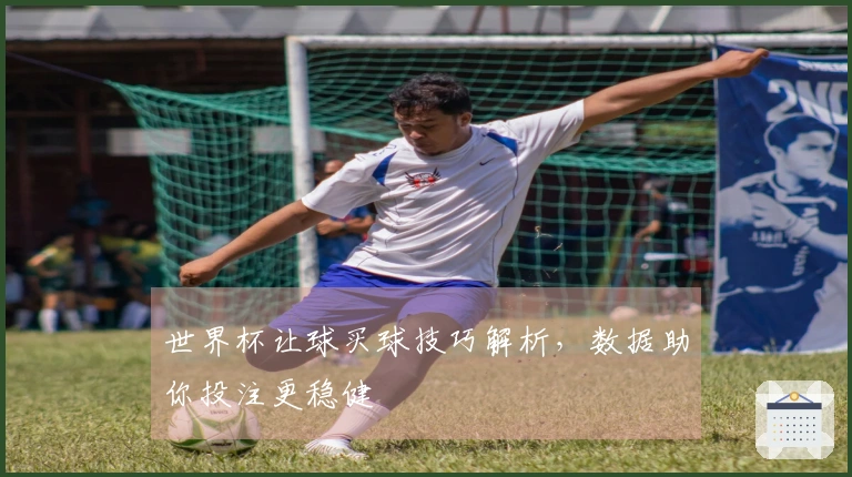 世界杯让球买球技巧解析，数据助你投注更稳健