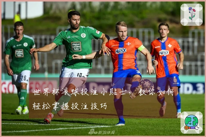 世界杯滚球投注小贴士，教你如何轻松掌握投注技巧