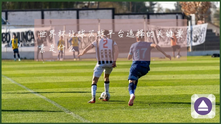 世界杯让球买球平台选择的关键要素是什么