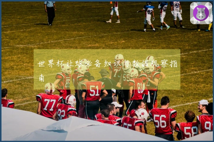 世界杯让球必备知识与数据观察指南