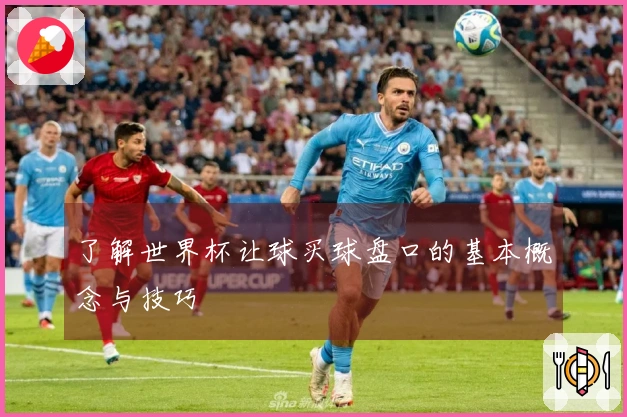 了解世界杯让球买球盘口的基本概念与技巧