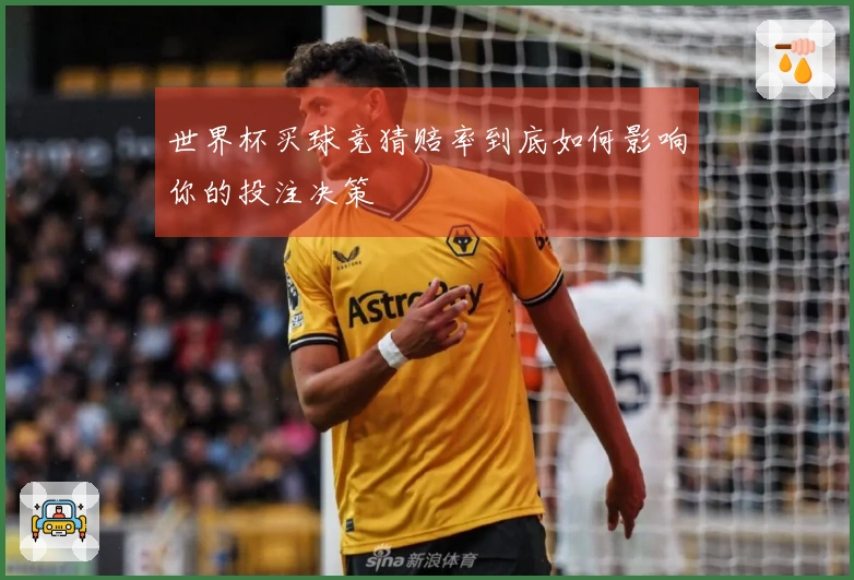 世界杯买球竞猜赔率到底如何影响你的投注决策