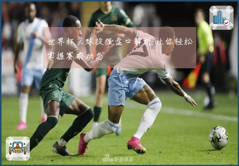 世界杯买球投注盘口解析 让你轻松掌握赛前动态