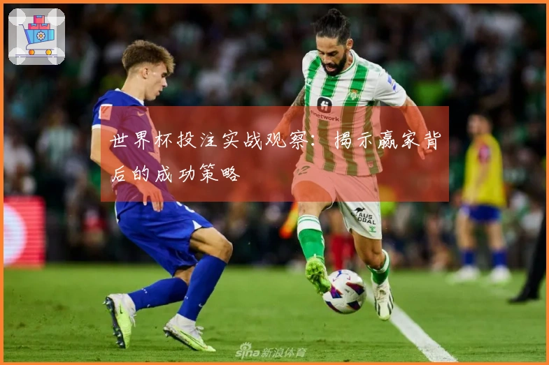 世界杯投注实战观察：揭示赢家背后的成功策略