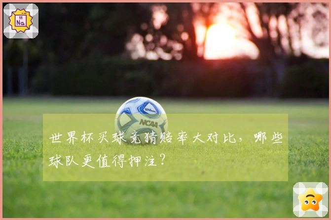 世界杯买球竞猜赔率大对比，哪些球队更值得押注？