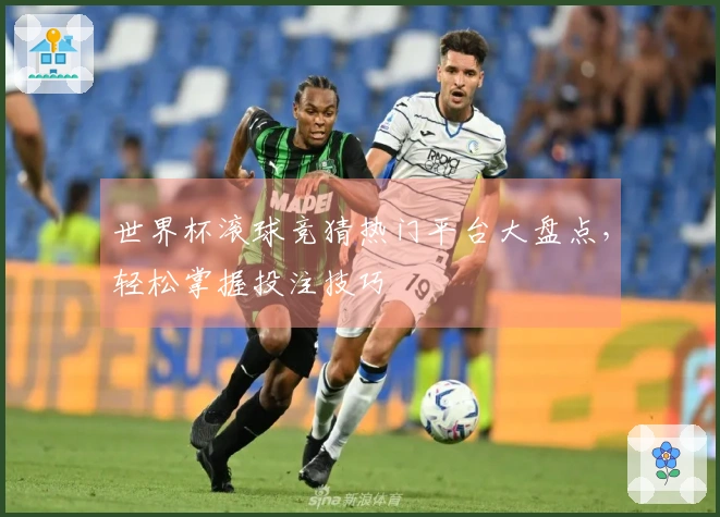 世界杯滚球竞猜热门平台大盘点，轻松掌握投注技巧