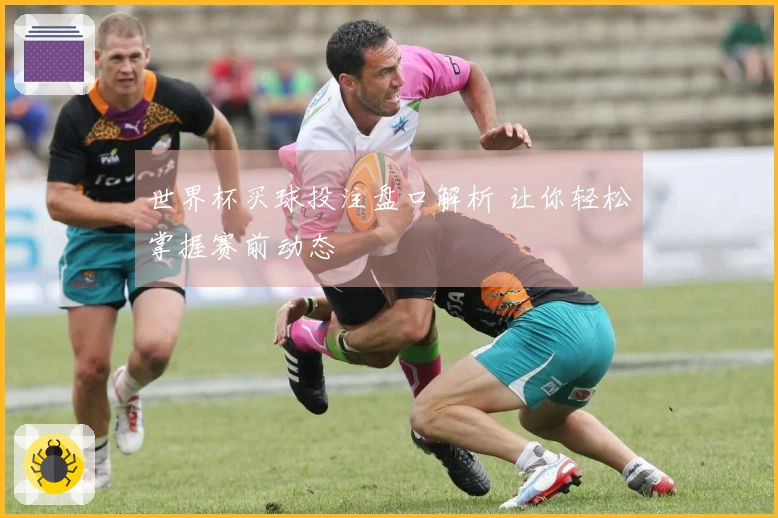 世界杯买球投注盘口解析 让你轻松掌握赛前动态