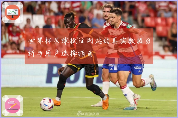 世界杯买球投注网站的真实数据分析与用户选择指南